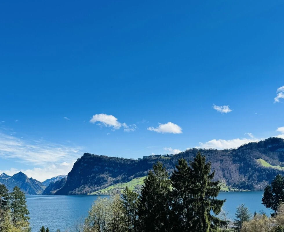 Luxusvilla VISTA LAGO in Kastanienbaum am Vierwaldstättersee